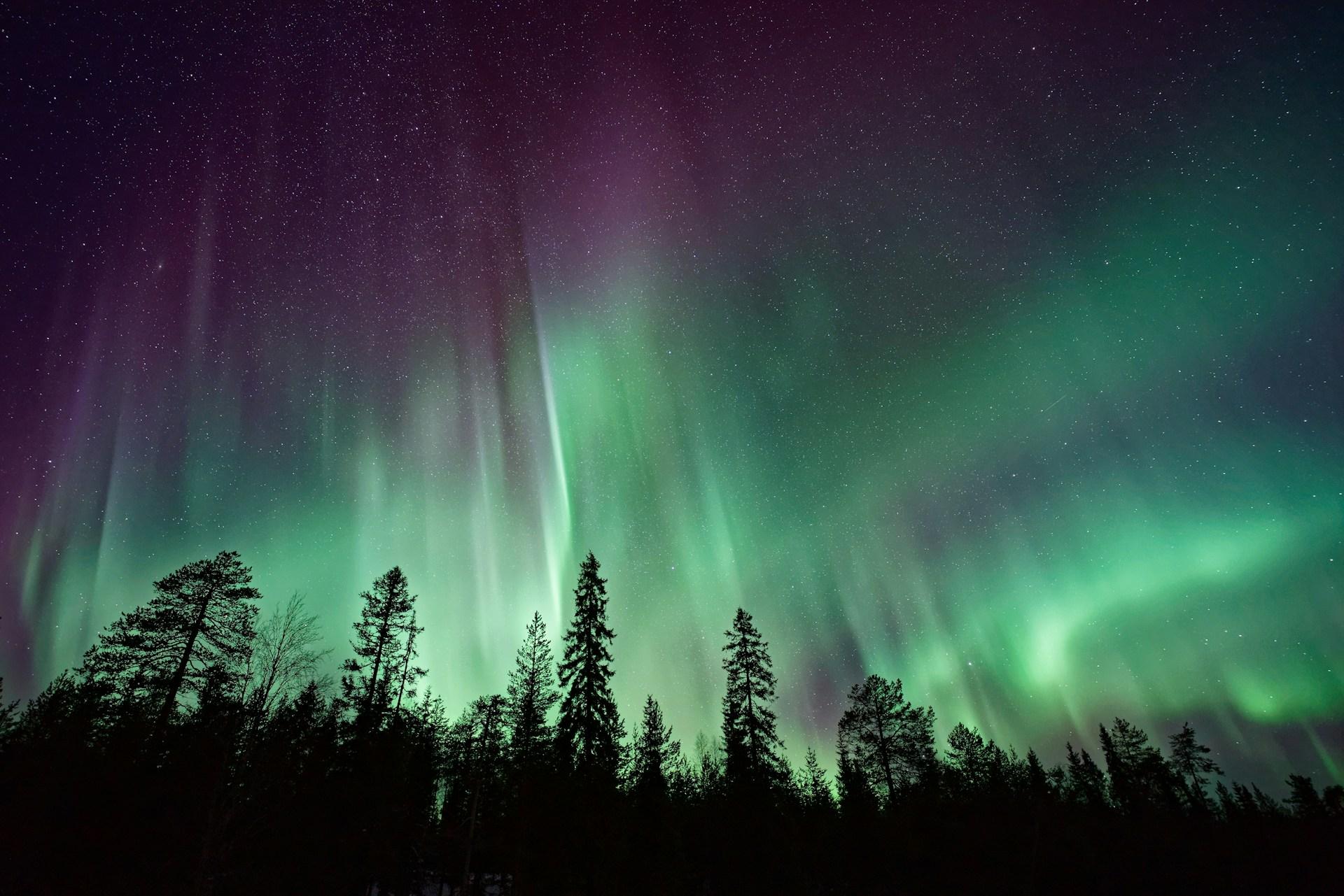 Spirit in the Sky - Norway's Northern Lights